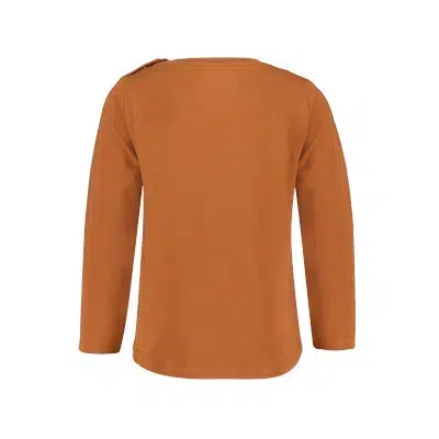 Brown Shirt Hope - 4President