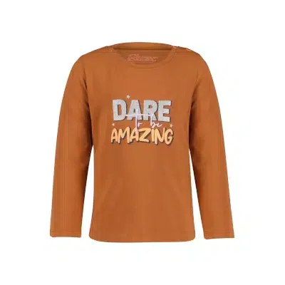 Brown Shirt Hope - 4President