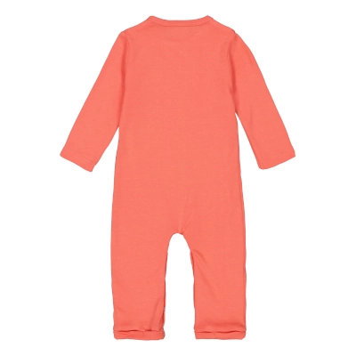 4President - Boxpakje Rikki