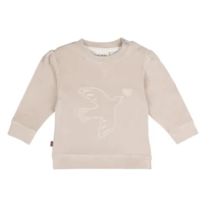 Frogs and Dogs - Velvet Sweater - Follow Your Heart - Silver Gray - 25094009