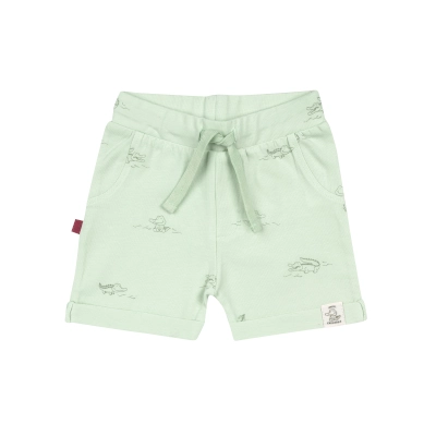 Frogs and Dogs - Short Crocodiles - Smile Crocodile - 26032012