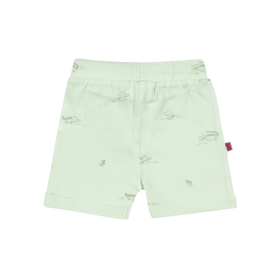 Frogs and Dogs - Short Crocodiles - Smile Crocodile - 26032012