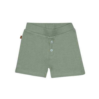 Frogs and Dogs - Waffle Short - Smile Crocodile - 26032017