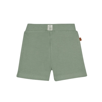 Frogs and Dogs - Waffle Short - Smile Crocodile - 26032017