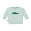 Frogs & Dogs - 26082001 - Sweater Fast Car