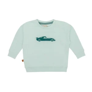 Frogs & Dogs - 26082001 - Sweater Fast Car