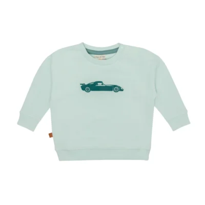 Frogs & Dogs - 26082001 - Sweater Fast Car