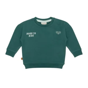 Frogs & Dogs - 26082002 - Sweater Flag