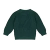 Frogs & Dogs - 26082017 - Flat Knit Rib Sweater Racer - Achterkant