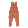 Frogs & Dogs - 26085015 - Ruffle Dungaree